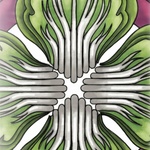 Chinese Cabbage Seeds - Michihili - Sow True Seed