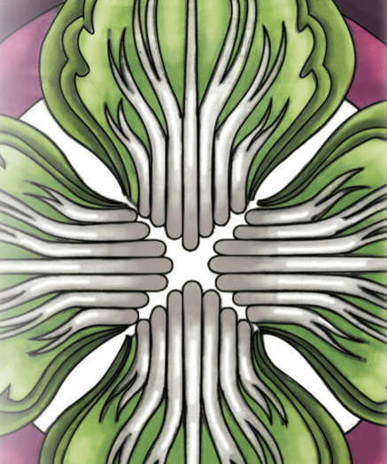 Chinese Cabbage Seeds - Michihili - Sow True Seed