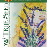 Lavender Seeds - English (Vera) - Sow True Seed