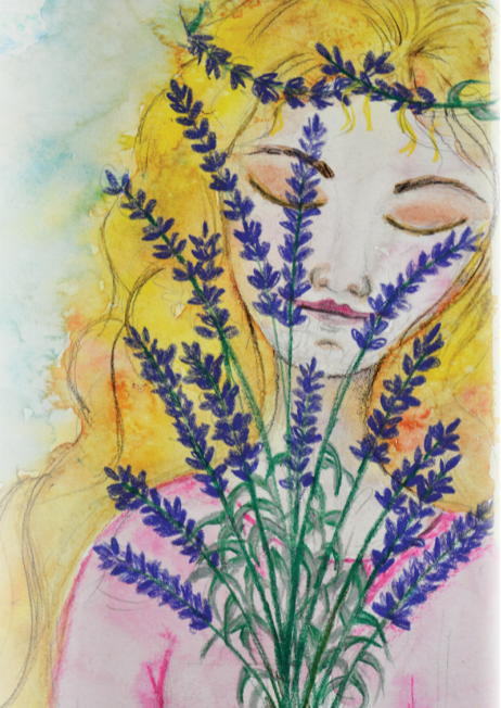 Lavender Seeds - English (Vera) - Sow True Seed