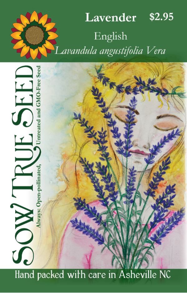 Lavender Seeds - English (Vera) - Sow True Seed