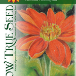 Tithonia Seeds - Mexican Sunflower - Sow True Seed