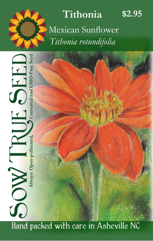Tithonia Seeds - Mexican Sunflower - Sow True Seed