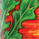 Arugula Seeds - Arugula, ORGANIC - Sow True Seed