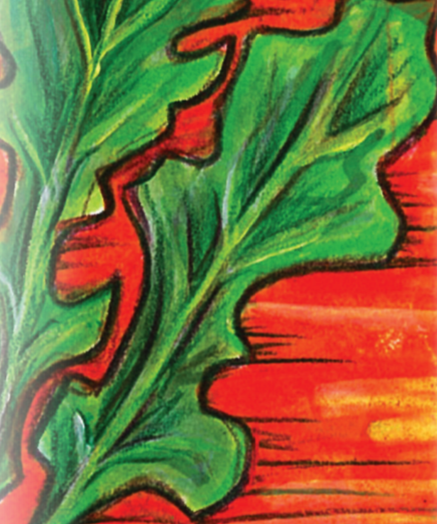 Arugula Seeds - Arugula, ORGANIC - Sow True Seed