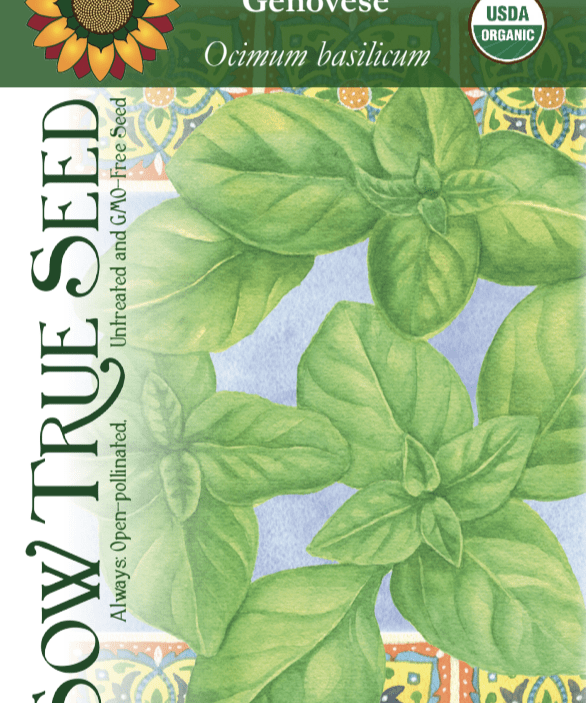 Basil Seeds - Genovese, ORGANIC - Sow True Seed