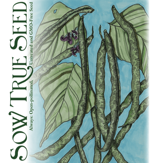 Bush Bean Seeds - Provider, ORGANIC - Sow True Seed