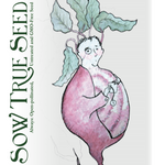 Beet Seeds - Chioggia, ORGANIC - Sow True Seed