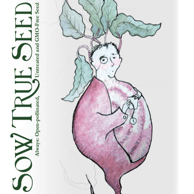 Beet Seeds - Chioggia, ORGANIC - Sow True Seed