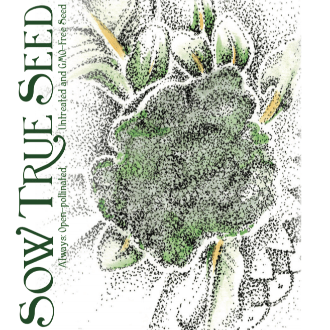 Broccoli Seeds - Di Ciccio, ORGANIC - Sow True Seed