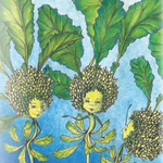 Broccoli Raab Seeds - Spring Rapini, ORGANIC - Sow True Seed