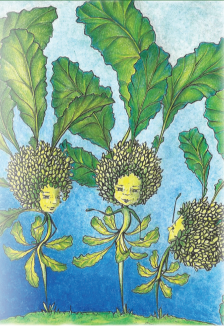 Broccoli Raab Seeds - Spring Rapini, ORGANIC - Sow True Seed