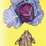 Cabbage Seeds - Red Acre - Sow True Seed