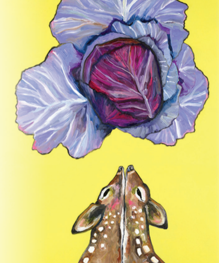 Cabbage Seeds - Red Acre - Sow True Seed