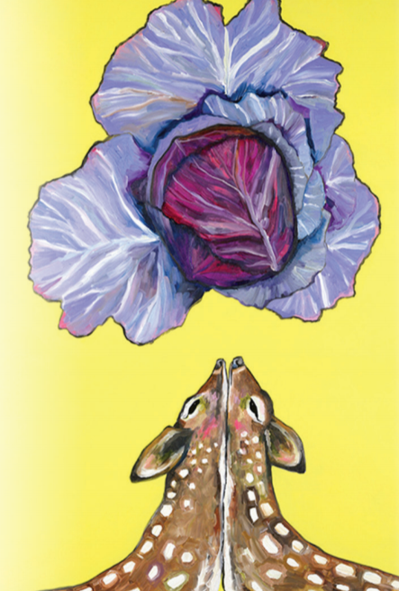 Cabbage Seeds - Red Acre - Sow True Seed