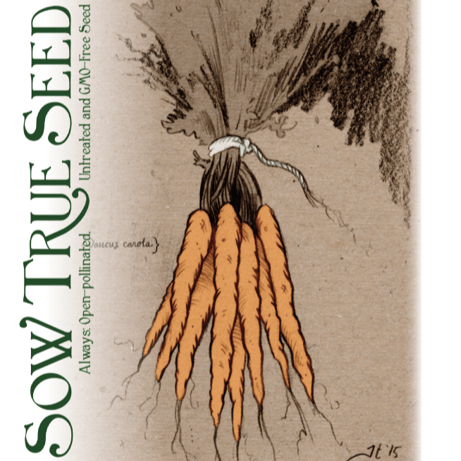 Carrot Seeds - Tendersweet, ORGANIC - Sow True Seed