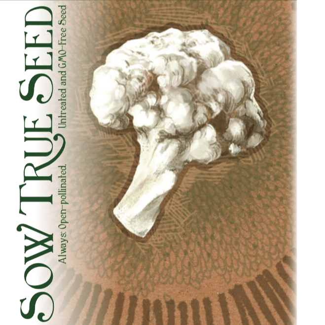 Cauliflower Seeds - Snowball Self-Blanching, ORGANIC - Sow True Seed