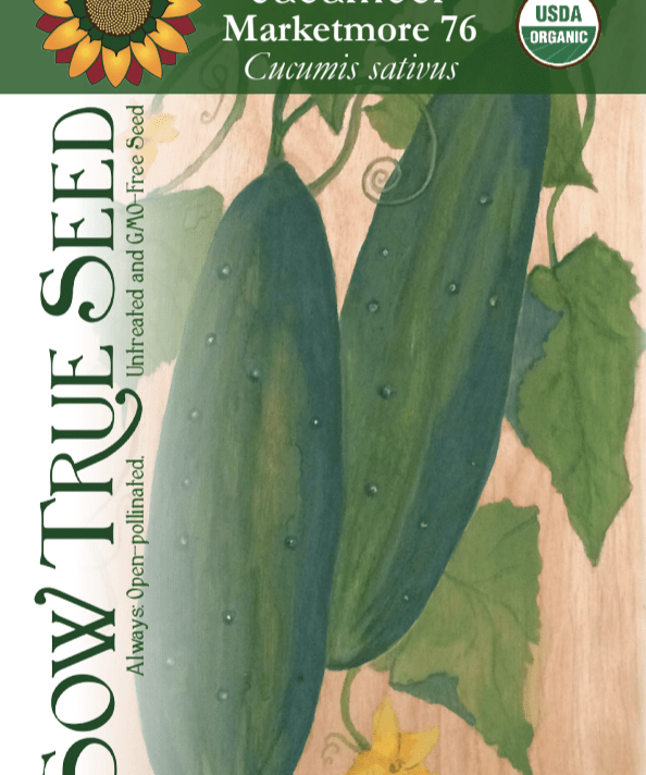 Slicing Cucumber Seeds - Marketmore 76, ORGANIC - Sow True Seed