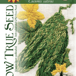 Slicing Cucumber Seeds - Muncher, ORGANIC - Sow True Seed