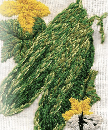 Slicing Cucumber Seeds - Muncher, ORGANIC - Sow True Seed