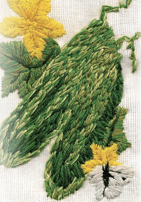 Slicing Cucumber Seeds - Muncher, ORGANIC - Sow True Seed