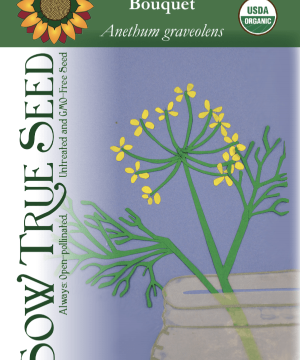 Dill Seeds, Bouquet, ORGANIC - Sow True Seed
