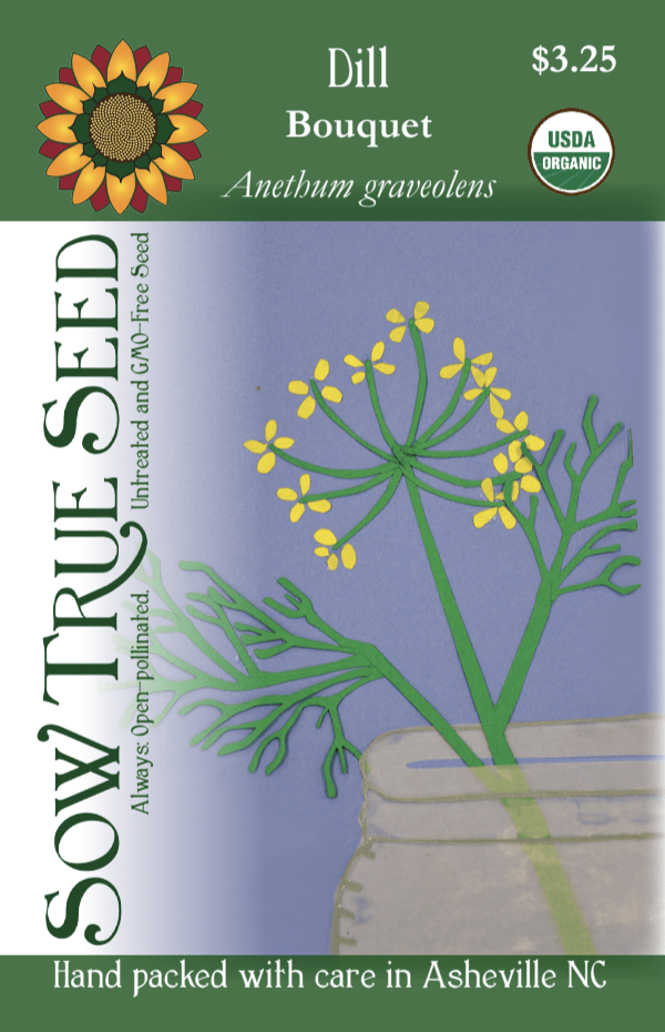 Dill Seeds, Bouquet, ORGANIC - Sow True Seed