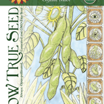 Soy Bean (Edamame) - Chiba Green, ORGANIC - Sow True Seed