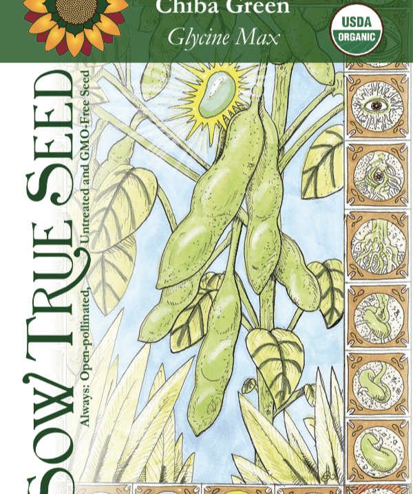 Soy Bean (Edamame) - Chiba Green, ORGANIC - Sow True Seed