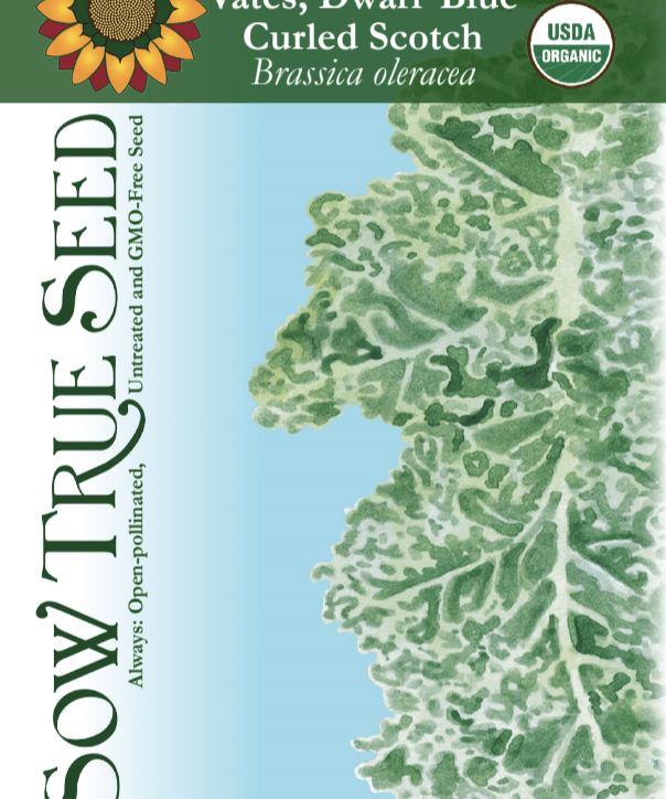 Kale Seeds - Vates, Dwarf Blue Curled Scotch - Sow True Seed