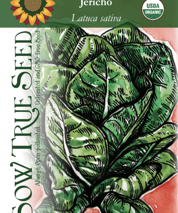 Lettuce Seeds - Jericho, ORGANIC - Sow True Seed