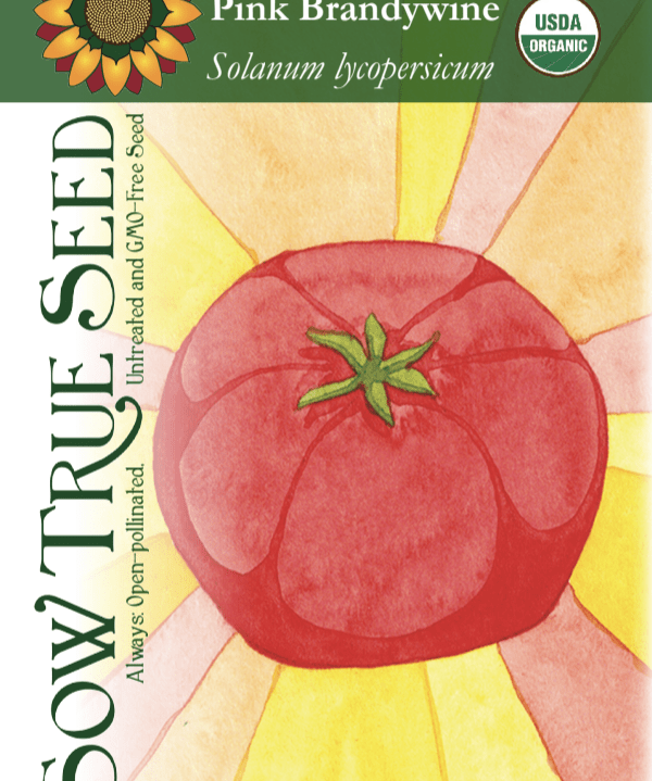 Slicing Tomato Seeds - Pink Brandywine, ORGANIC - Sow True Seed
