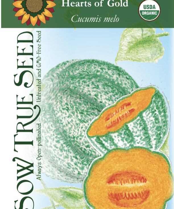 Melon Seeds - Hearts of Gold, ORGANIC - Sow True Seed