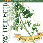 Parsley Seeds - Forest Green, ORGANIC - Sow True Seed