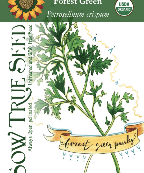 Parsley Seeds - Forest Green, ORGANIC - Sow True Seed
