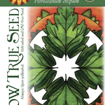 Parsley Seeds - Italian Giant, ORGANIC - Sow True Seed