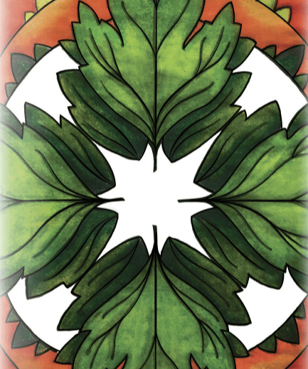 Parsley Seeds - Italian Giant, ORGANIC - Sow True Seed