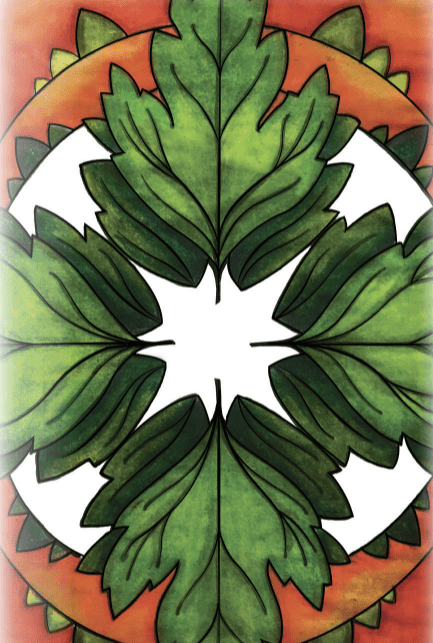 Parsley Seeds - Italian Giant, ORGANIC - Sow True Seed