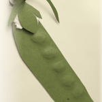Snow Pea Seeds - Mammoth Melting Sugar, Organic - Sow True Seed