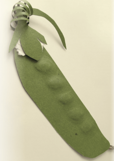 Snow Pea Seeds - Mammoth Melting Sugar, Organic - Sow True Seed