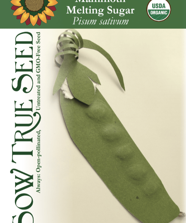 Snow Pea Seeds - Mammoth Melting Sugar, Organic - Sow True Seed