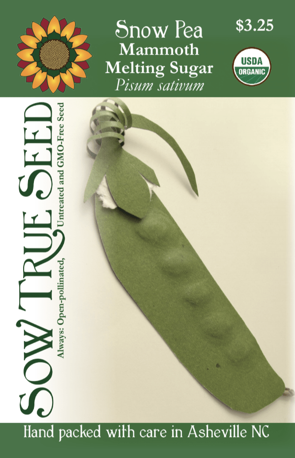 Snow Pea Seeds - Mammoth Melting Sugar, Organic - Sow True Seed