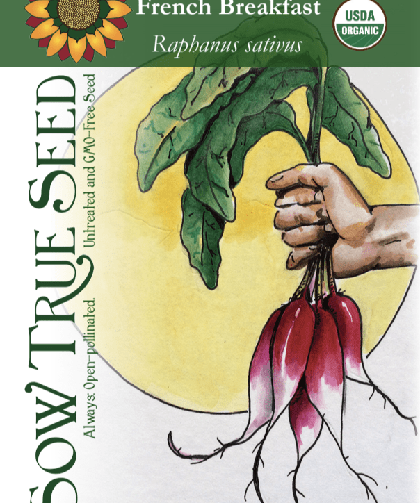 Radish Seeds - French Breakfast - Sow True Seed