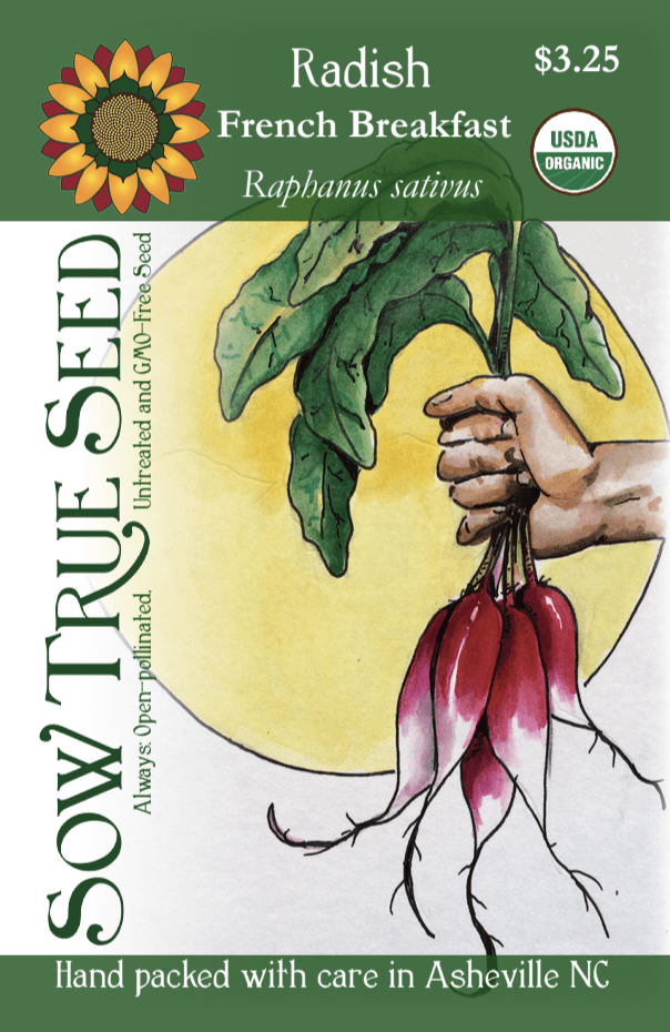 Radish Seeds - French Breakfast - Sow True Seed