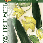 Summer Squash Seeds - Black Beauty Zucchini, ORGANIC - Sow True Seed