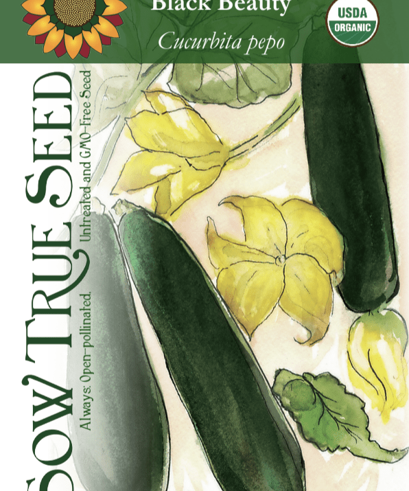 Summer Squash Seeds - Black Beauty Zucchini, ORGANIC - Sow True Seed