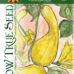 Summer Squash Seeds - Early Summer Crookneck, ORGANIC - Sow True Seed