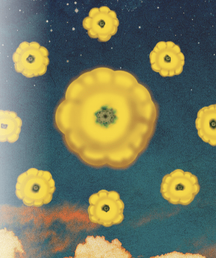 Summer Squash Seeds - Scallop Yellow Bush, ORGANIC - Sow True Seed