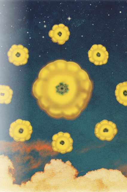 Summer Squash Seeds - Scallop Yellow Bush, ORGANIC - Sow True Seed