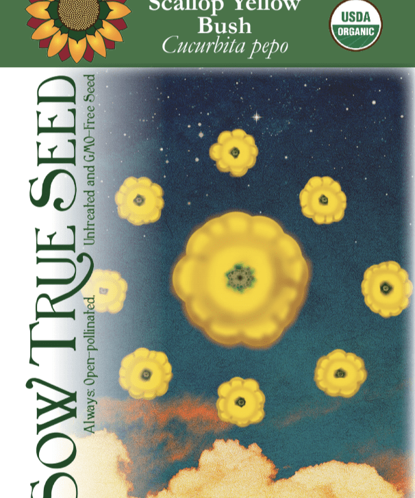 Summer Squash Seeds - Scallop Yellow Bush, ORGANIC - Sow True Seed